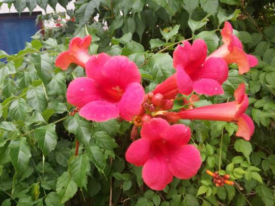 20160808_145911_original